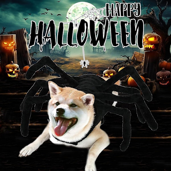 Halloween Edderkop Kostume til Hunde og Katte XL