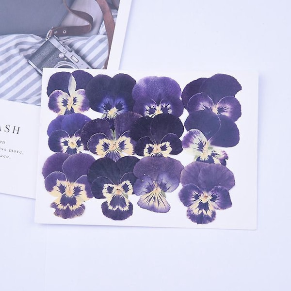 Pressede tørkede blomster og blader for DIY-bokmerker Naturlige blomsterkunstforsyninger