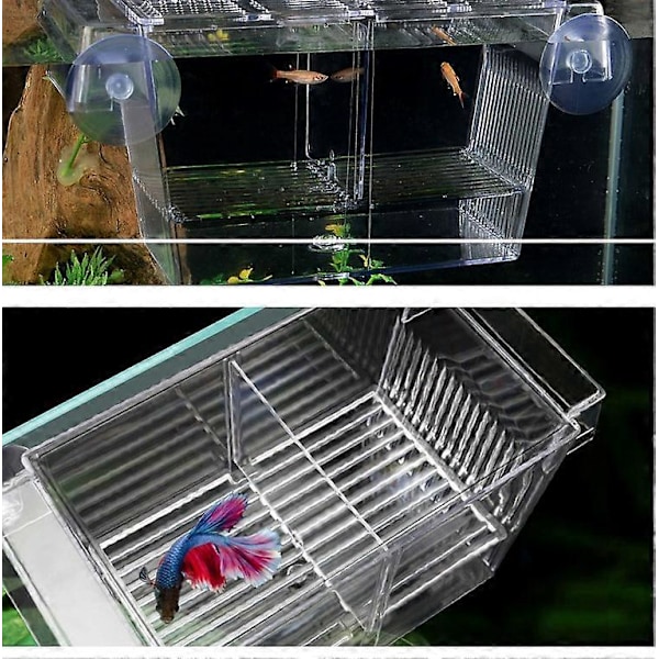 Lekrum, - 3 i 1 Akvarium Fiskodlingstank med Lock, Flytande, Transparent 12,5x7x7 cm