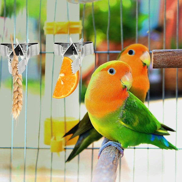 Papukaijan Hedelmä- ja Vihannesruokintapidike, 5 kpl, Lintujen Ruokapidike, Linnunhäkin Tarvikkeet, Metallipidikkeet Undulaateille, Budgiesille, Neitokakaduille