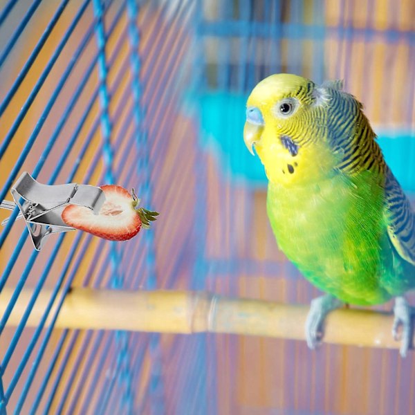 Papukaijan Hedelmä- ja Vihannesruokintapidike, 5 kpl, Lintujen Ruokapidike, Linnunhäkin Tarvikkeet, Metallipidikkeet Undulaateille, Budgiesille, Neitokakaduille