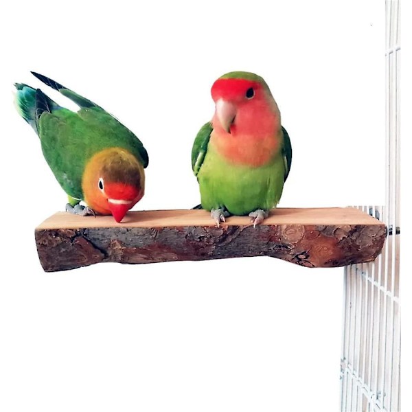 Naturlig Apple Wood Perch Platform för Parakiter, Nymfkakaduor, Conures - 7-8cm Bredd, 15cm Längd