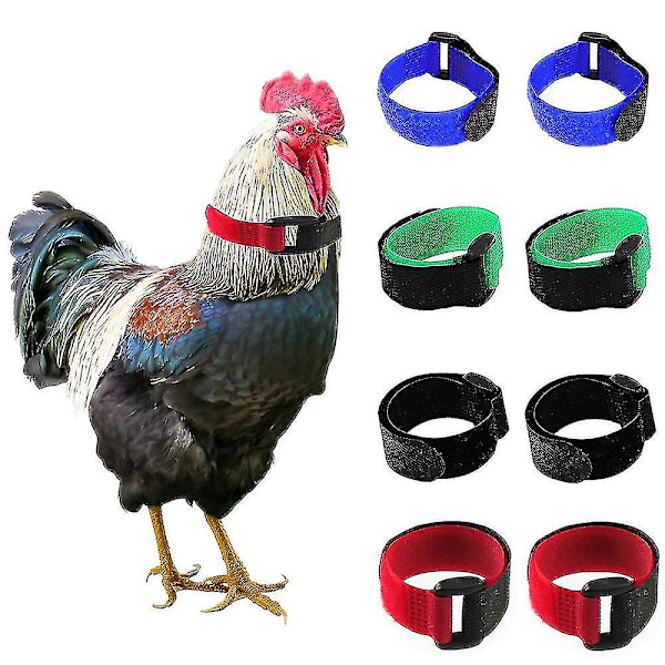Korkea laatu pehmeä tekstuuri kana kaulus - Säädettävä Anti-Crow & Anti-Hook kukko kaulus siipikarjan tarvikkeet 2PCS musta