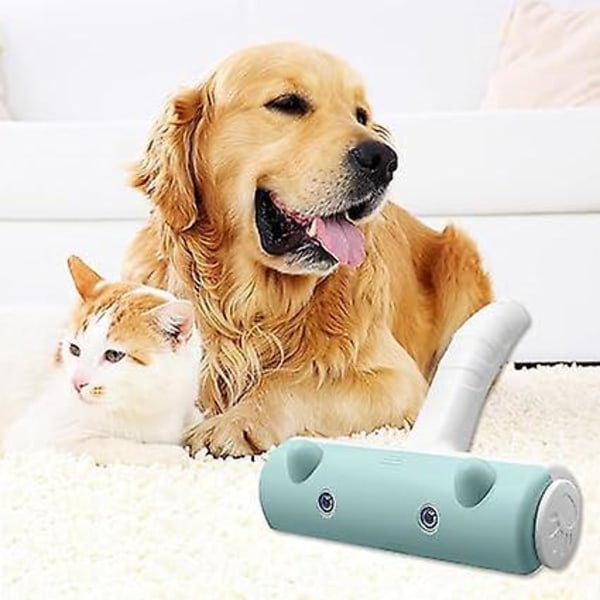 Fjernelse af dyrehår, katte- og hundehårbørste, fnugbørste til sofa, seng, tæppe, kradsebræt til katte (Grøn)