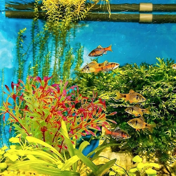 Realistiske akvarieplanter for akvariedekorasjon, fargerike kunstige akvarieplanter, 6 store stk.