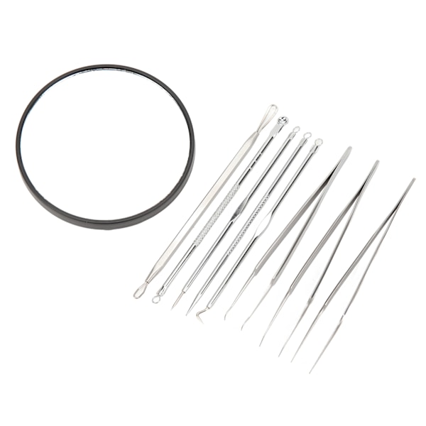 Finnar Nålar Set Svart 10X Förstoring Spegel Spisspets Pormaskar Remover Tools