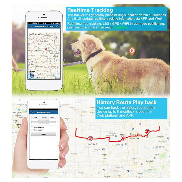 TK919 4G GPS-tracker för djur, jakthund, GPRS-lokalisator