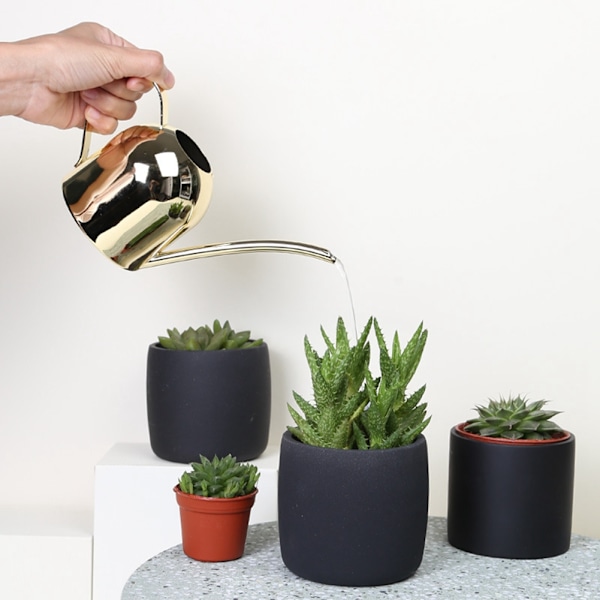 500 ml rustfrit stålvandkande med lang tud, vandkande til udendørs og indendørs stueplanter, guld