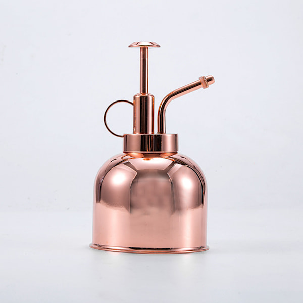 Plante Mister Sprayflaske 300ML Rustfrit Stål Vandkande til Indendørs Planter Sukkulente Bonsai Haveværktøj Guld