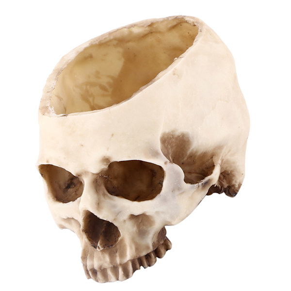 1 kpl Resin Skull Head Design kukkaruukkuistutusastian koristelu