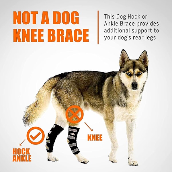 Hunde bagbensbandage med sikkerhedsreflekterende stropper til støtte af hundens haseled