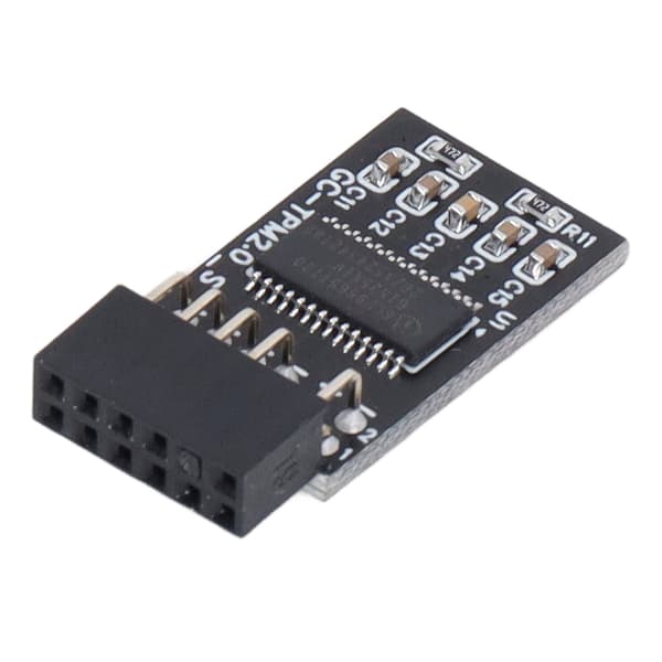 TPM 2.0-modul LPC SPI 12-pinners fjernkort krypteringssikkerhetskorttilbehør for GIGABYTE