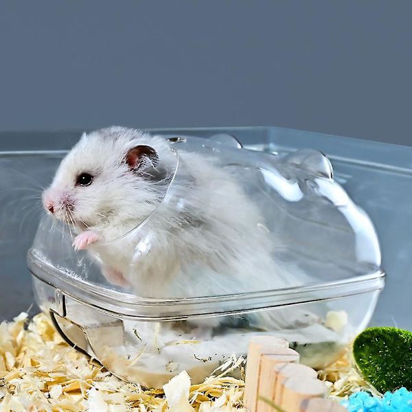Stor Transparent Hamster Sandsbadbehållare med Skovleset för Små Dvärgdjur