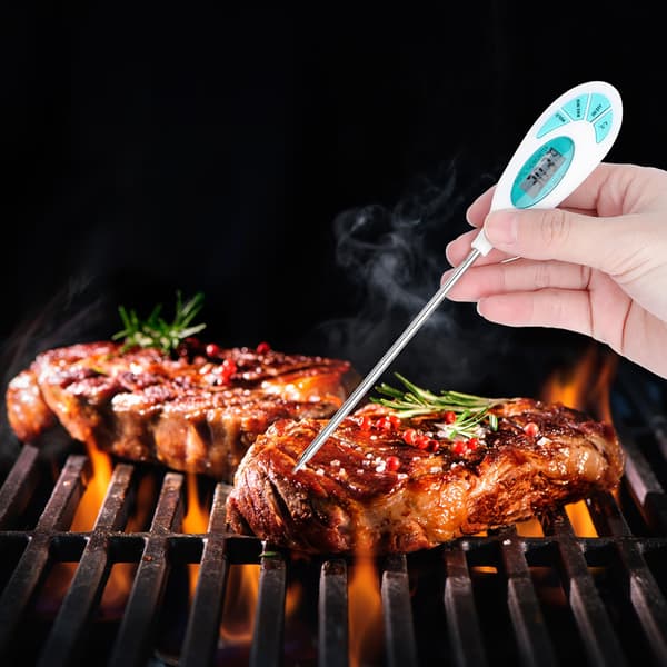 Kök Elektronisk Digital Display Matlagning Termometer Temperaturtestare för BBQ Grill Bakning