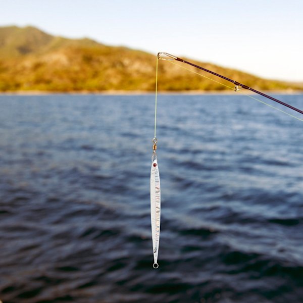 2 stk Simulering Fiskeform Lure Agn Fiskeutstyr Vivid Swimming Posturesilver
