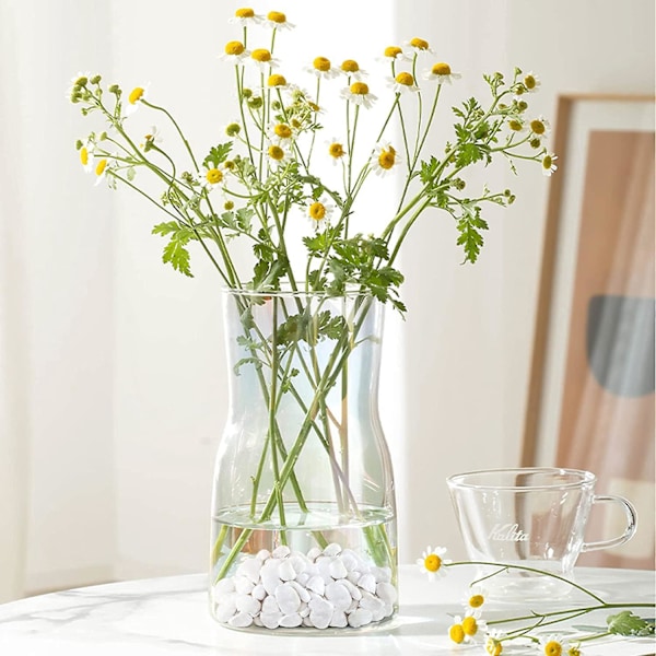 Dekorative Stene Hvide Sten Små Dekorative Sten Naturlige Dekorative Gruss Sten Marmor Sten Dekorative Natursten til Blomsterpotter Akvar