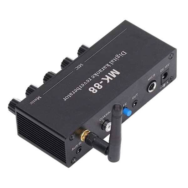 Digital Reverb Stereo Förstärkare Bluetooth 5.0 Dubbel Mikrofoningång DC 12V