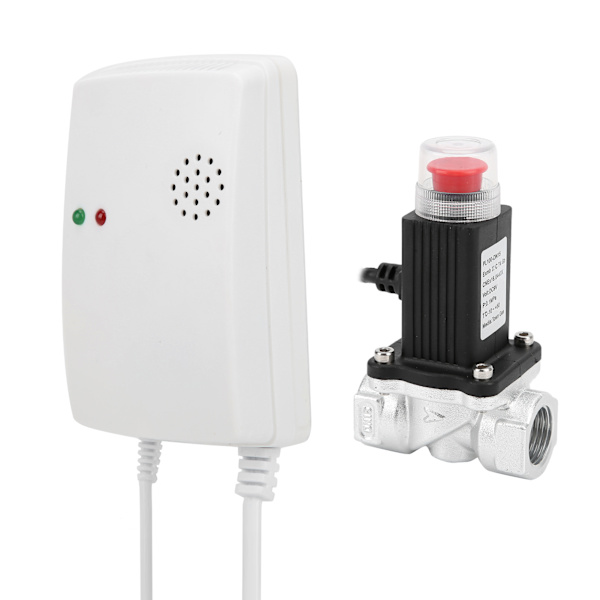 Drivstoff Kull Naturgass Alarm Uavhengig veggmontert husholdning med drivmagnetventil AC110220V(EU-plugg)