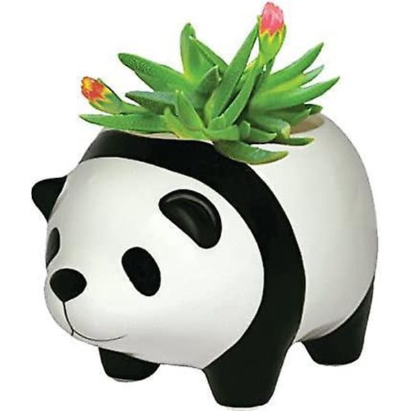 Pandabjörns Blomkruka