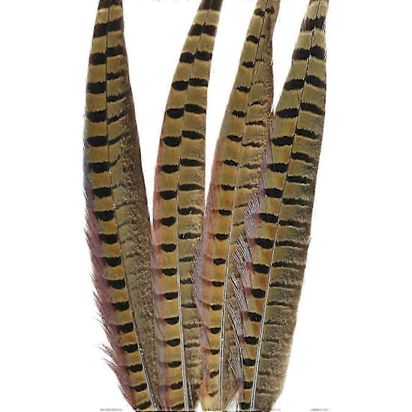 Touch of Nature Ringneck Fasan Fjer 4/Stk, Naturlig