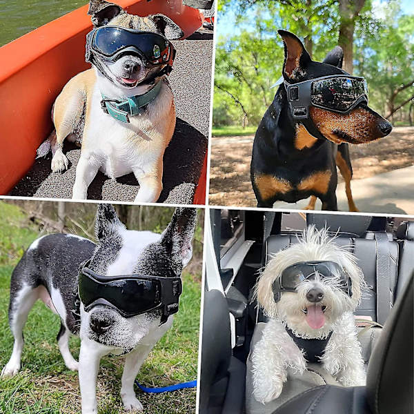 Hunde Goggles til Mellemstore Hunde - UV Beskyttelse Solbriller med Justerbare Remme Mellem Sort