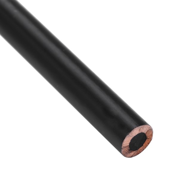12 kpl/erä Charcoal Set Ammattitaide Piirustus Piirustus Lyijykynät Paperitarvikkeet (pehmeä)