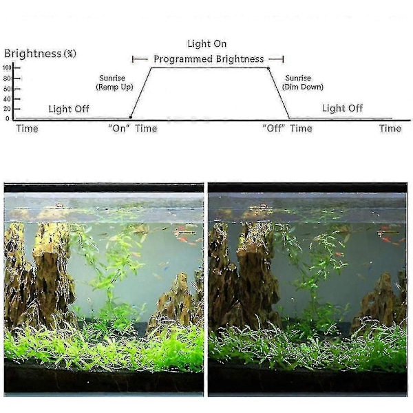 Akvarielys Controller - 4 Tilstande Solopgang Solnedgang Dæmper LED Lys til Akvarium Lampe Timer