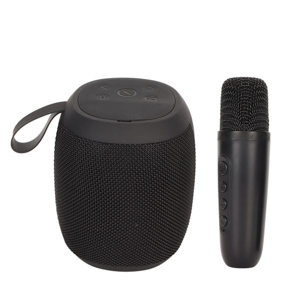 Mikrofon Bluetooth Højttaler RGB Lys Mini Karaoke Maskine med Enkelt Mikrofon til Husholdningsfest Sort