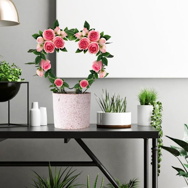 2 stk. Sort Jern Havehegn til Klatreplanter Vinstok Plante Metal Støttetråd Hjerteformet Planter Klatrestativ