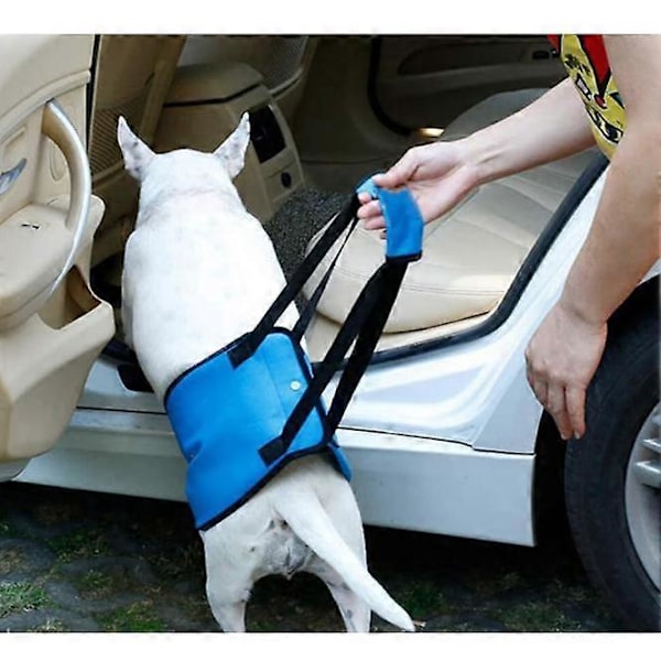 Hundlyftsele Rehabilitering Stöd Assistans Sling för Skadade Funktionshindrade Vuxna Hundar Mobilitetshjälpmedel