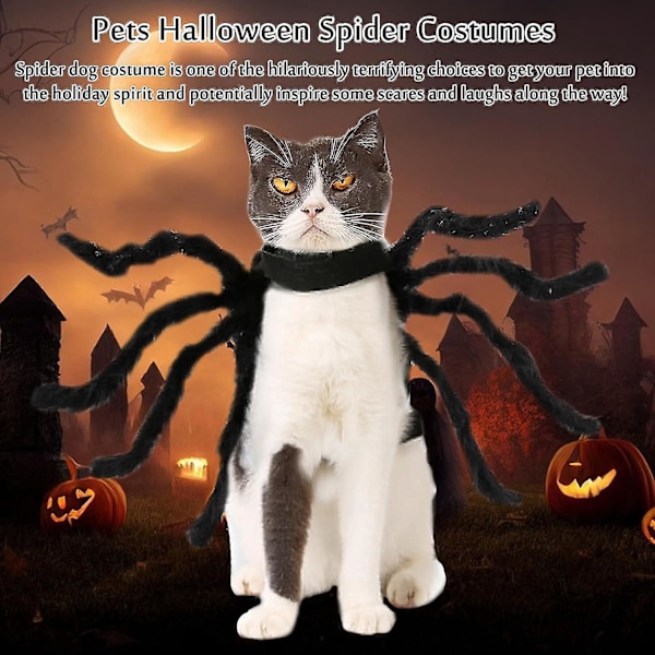 Halloween-hämähäkkipuku koirille ja kissoille L