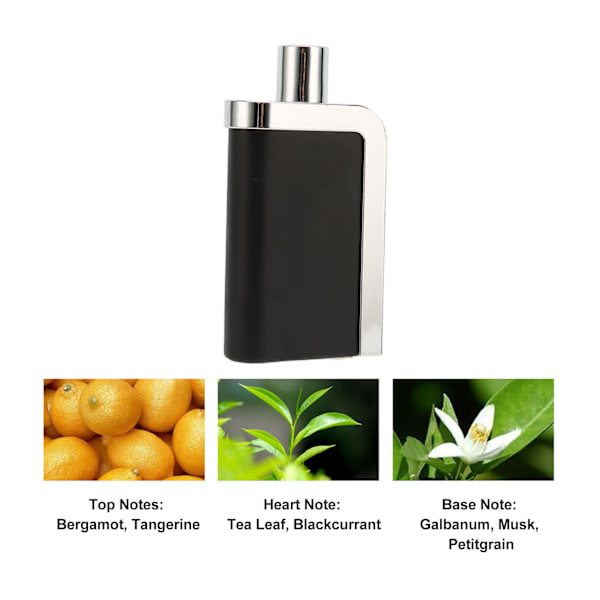 Manlig doft Parfym Fruktig doft Romantisk Lång bärbar Fine Mist Parfym Spray 100ml
