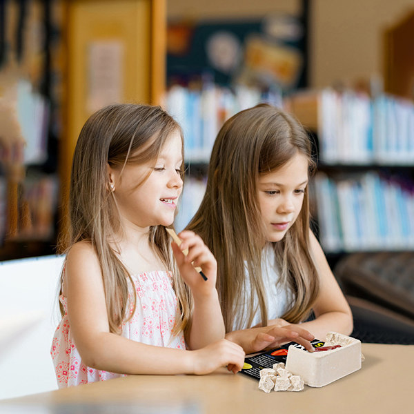 Barn Ton Dig Kit 12 Riktiga med Utgrävningssats Vetenskapliga Pedagogiska Leksaker för Pojkar och Flickor Presenter