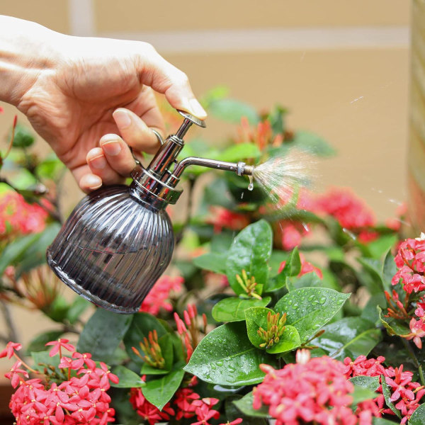 16,5 cm högt glas Mr. Plant - grå, vintage glasvattensprutflaska med topppump, liten saftig vattenkanna inomhus