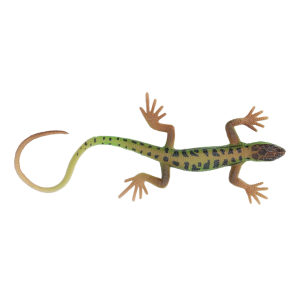 Ödlor Figur Leksak Simulering Säker Målning Barn Present Reptil Modell Dekoration för Sovrum Studie Samling PL127 1511