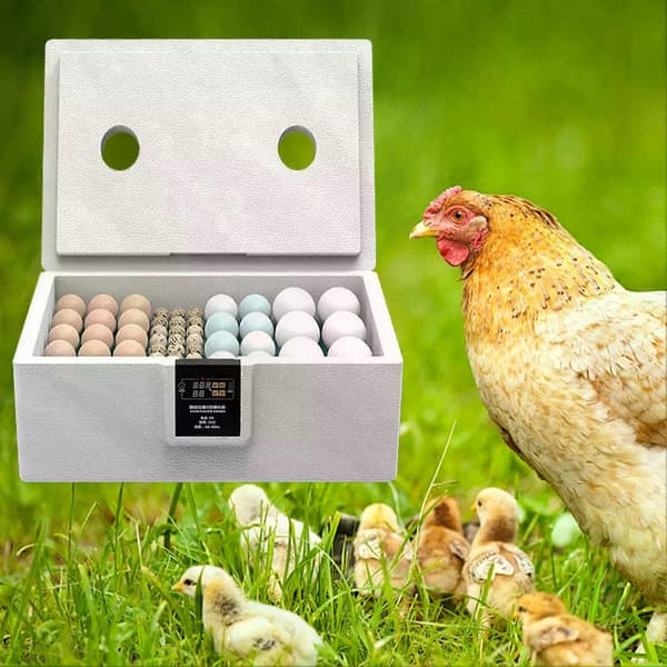 Egg Incubator 10-25 Automatic Egg Incubator Automatic Turning Poultry Incubator Intelligent Hatcher For Home Use