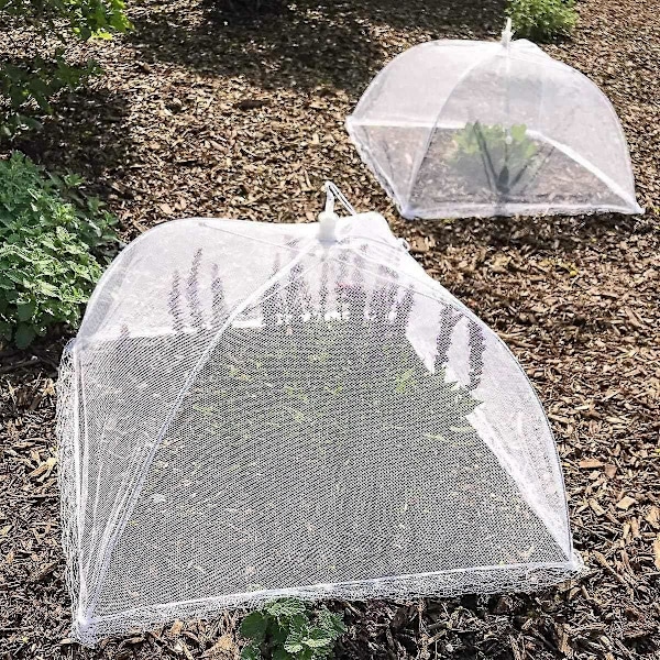 Lämpligt 8-pack Vikbart Mattskydd Nät Skärm Paraply för att Hålla Insekter och Flugor Borta, 43 x 43 cm, Vit