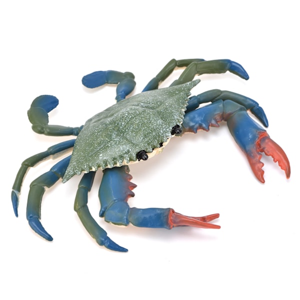 Realistisk modell av marine dyr krabbe simulert plast krabbe barnepedagogiske rekvisitter krabbeleker (PL127524)