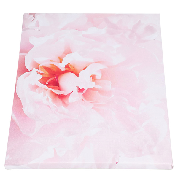 Blomsterkonstbilder Fashionable Ambience Ljus färg blekningsbeständighet Väggdekor Konst för hemmakontor Bar kök Café Typ A