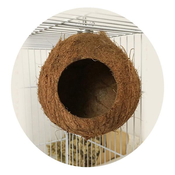 Lemmikkipapukaijan pesä luonnollinen kookospähkinän kuori talo häkki syöttölaite aaltomikot linnut hamsterilelut
