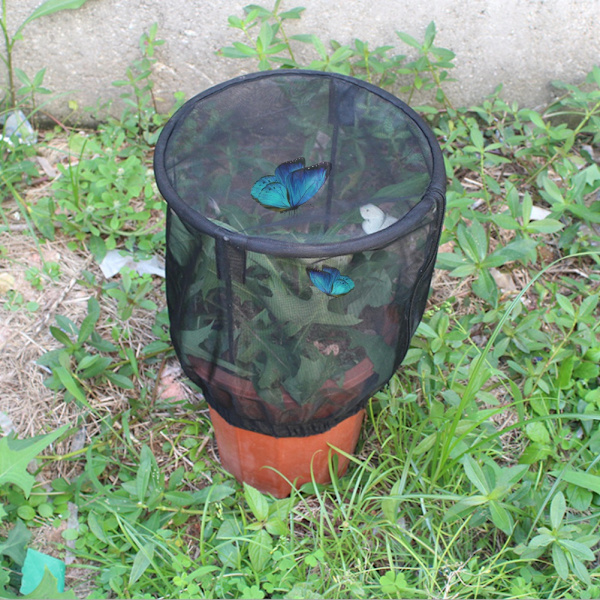 Ventilert insektbur, lysoverføring, fôringsnett, deksel, nettingbur, plante, solskjermingshus