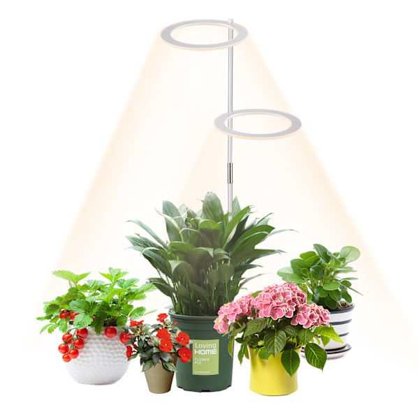 LED växtlampa 2 huvuden Full Spectrum inomhus växtlampa växt med timer