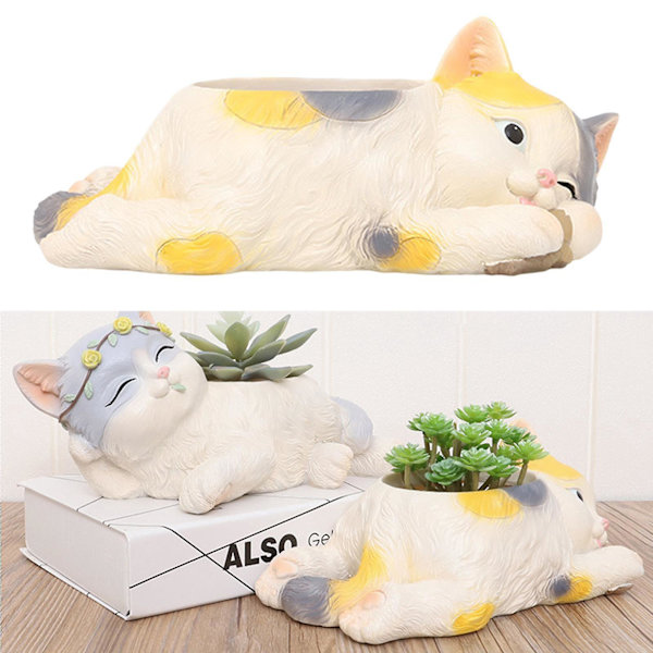 Katte sukkulent plantepotter tegneserie blomsterpotte have hjemmekontor indretning Style4