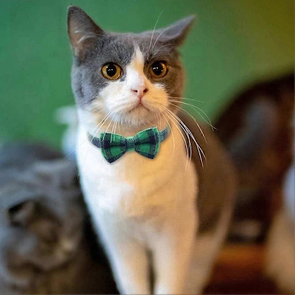 2 katt halsband, snabbspänne katthalsband med klockor och flugor, sött rutmönster för de flesta husdjur