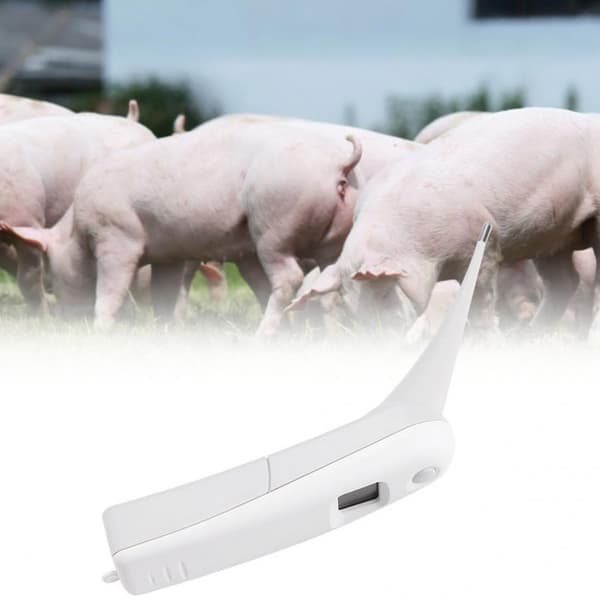 Veterinärtermometer Digitalt husdjurstermometer Elektronisk termometer för djur