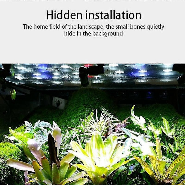 MIUS Reptiler Fogger Mist Sprinkler Regnkompatibel med Tank 360 Justerbar Akvarium Akvatisk Kæledyr Kølesystem