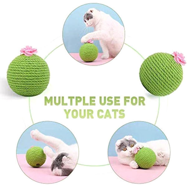 Kaktus Sisal Rep Kattboll Leksak med Catnip Katt Teaser Leksak för Kattungar Katter Interaktiv Leksak