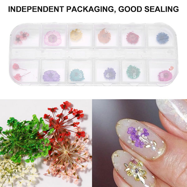 12 färger / låda torkade blommor nageldekoration DIY nagelkonst dekoration tillbehör D-stil