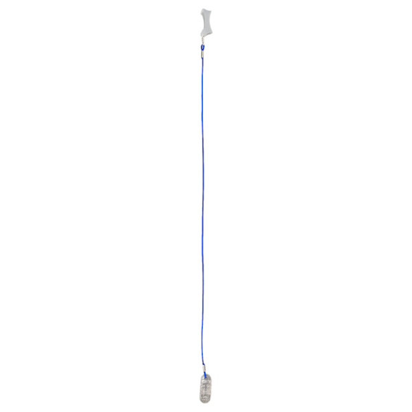 Gennemsigtig lydhjælpeklemme A13 fikseringsbeskytter, der holder blå BTE-lydforstærker Lanyard M Monaural