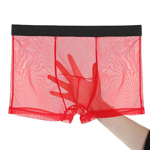 Herrkalsonger Sexiga Mesh Andningsbara Boxerkalsonger Låg Midja Coola Boxershorts Paket XL